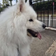 Pet in our care, photo 47