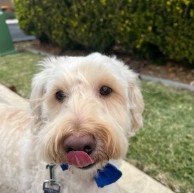 Pet in our care, photo 22
