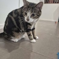 Pet in our care, photo 26