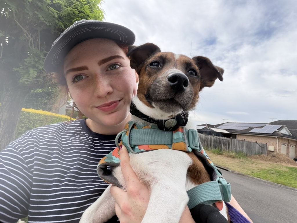 A happy dog in our care