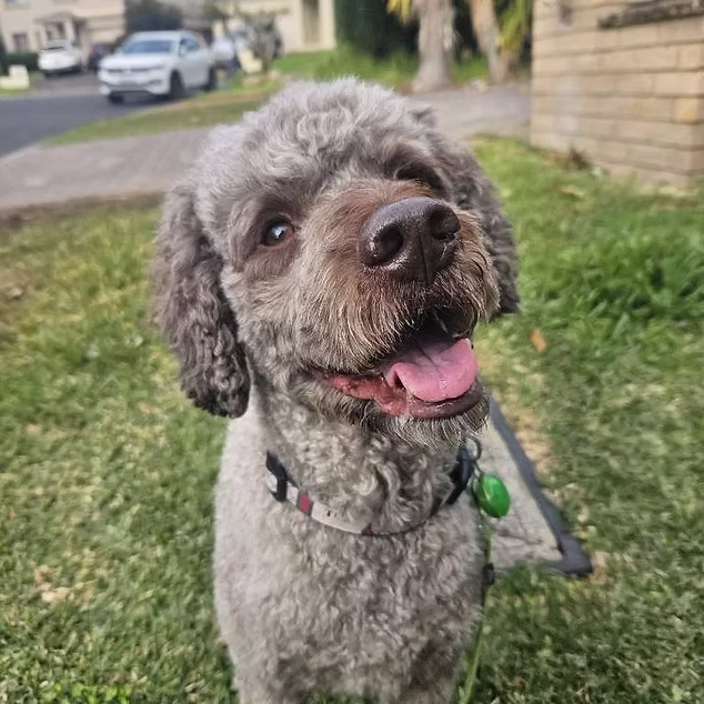 Ted enjoying a visit